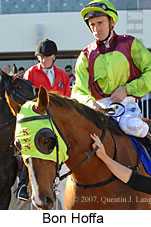 Bon Hoffa (14772 bytes)