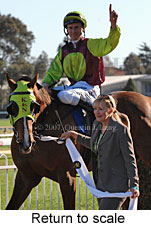 Return to scale (14008 bytes)