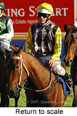 Return to scale (14008 bytes)