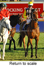 Return to scale (14008 bytes)