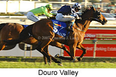 Douro Valley (14772 bytes)