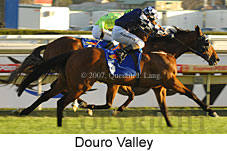 Douro Valley (14772 bytes)