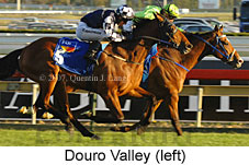 Douro Valley (14772 bytes)