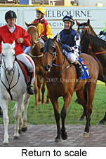 Return to scale (14008 bytes)