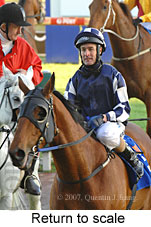 Return to scale (14008 bytes)