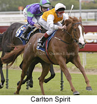 Carlton Spirit (17164 bytes)
