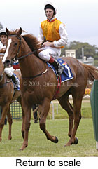 Return to scale (13651 bytes)