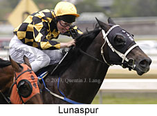 Lunaspur (14523 bytes)