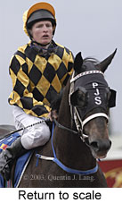 Return to scale (12538 bytes)