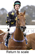 Return to scale (12754 bytes)