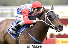 El Maze (14679 bytes)