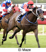 El Maze (17555 bytes)