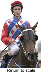 Return to scale (12507 bytes)