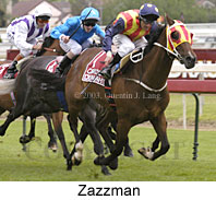 Zazzman (16855 bytes)