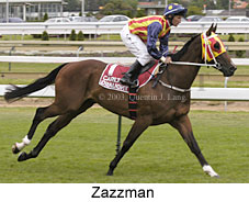 Zazzman (17539 bytes)