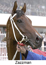 Zazzman (13205 bytes)