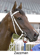 Zazzman (12800 bytes)