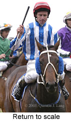 Return to scale (14572 bytes)