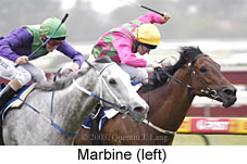 Marbine (13714 bytes)