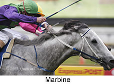 Marbine (13939 bytes)