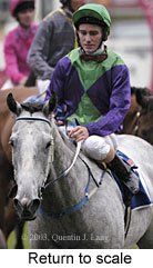 Return to scale (13855 bytes)