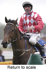 Return to scale (12144 bytes)