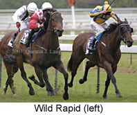 Wild Rapid (14096 bytes)