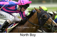 r1northboy.jpg (14355 bytes)