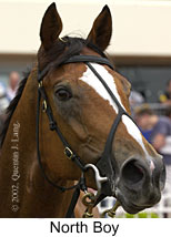 r1northboy2.jpg (11194 bytes)