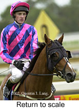 r1rtosc.jpg (14420 bytes)