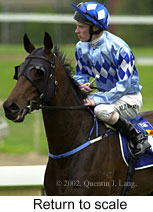 r3rtosc.jpg (12803 bytes)