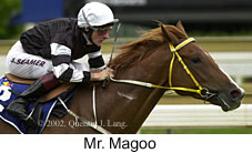 r4mrmagoo.jpg (12038 bytes)