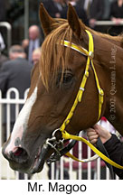 r4mrmagoo3.jpg (12368 bytes)