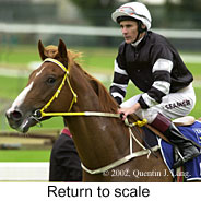 r4rtosc.jpg (13886 bytes)