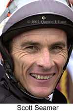 r4sseamer.jpg (11164 bytes)