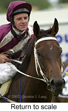 r5rtosc.jpg (11960 bytes)