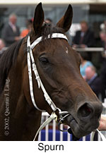 r5spurn2.jpg (10707 bytes)