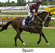 r5spurn4.jpg (13436 bytes)