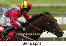 r6belesprit.jpg (12829 bytes)