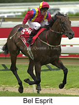 r6belesprit2.jpg (14144 bytes)