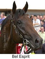 r6belesprit3.jpg (10596 bytes)