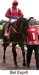 r6belesprit4.jpg (14188 bytes)