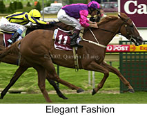 r7elegantfashion.jpg (17112 bytes)