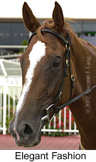 r7elegantfashion2.jpg (11210 bytes)