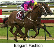 r7elegantfashion3.jpg (14694 bytes)