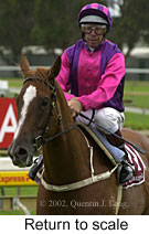 r7rtosc.jpg (11927 bytes)