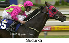 r8sudurka.jpg (13033 bytes)