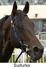 r8sudurka2.jpg (10666 bytes)