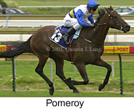 r9pomeroy.jpg (12943 bytes)