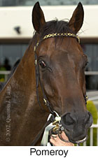 r9pomeroy2.jpg (10097 bytes)